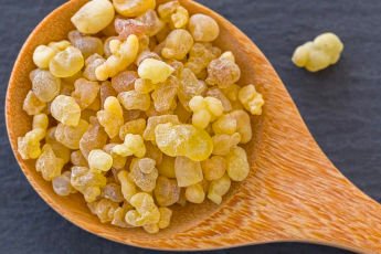 Boswellia Actives
